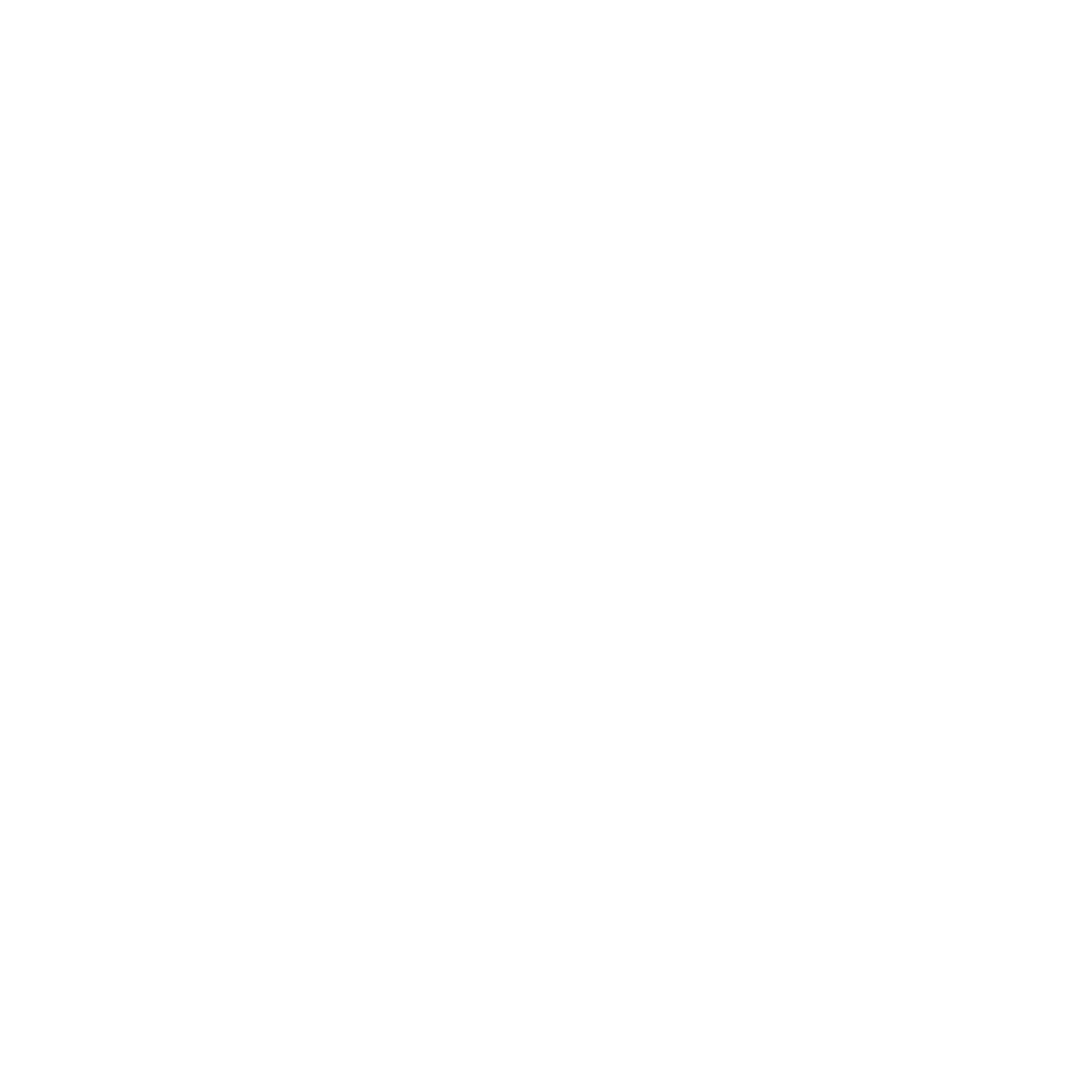 YouTube logo白色
